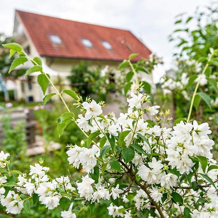 Beutenmuehle Straussenfarm Dach Owingen Exteriér fotografie