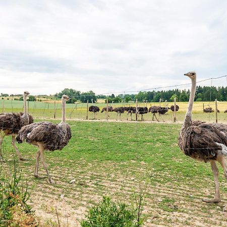 Beutenmuehle Straussenfarm Dach Owingen Exteriér fotografie
