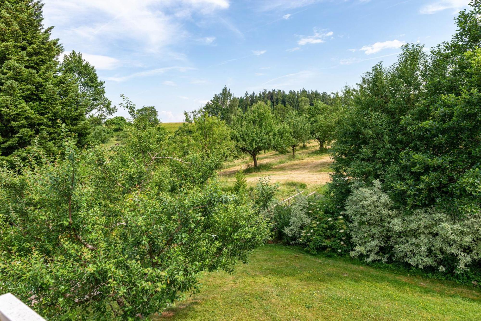 Beutenmuehle Straussenfarm Dach Owingen Exteriér fotografie